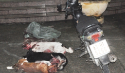 Hai 'cẩu tặc' mang theo bột ớt để chống người truy đuổi