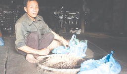 'Ông mụ' đất Lạng Sơn với bài thuốc chữa vô sinh trên núi đá