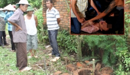 'Ông trẻ' hiếp, giết rồi phi tang xác cháu gái 11 tuổi