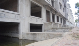 Chán đời, đại gia bỏ biệt thự nghìn tỷ để nuôi cá đồng