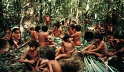 Cuộc sống của bộ lạc nguyên thuỷ trong rừng rậm Amazon