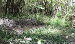 Bản tin 113 – chiều 4/7: Trộm 1,7 cây vàng chôn vào góc vườn…