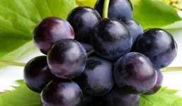 Những thực phẩm tuyệt đối không được ăn cùng nho