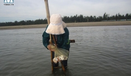 Tận mắt xem cảnh ngư dân 'săn' ngao biển