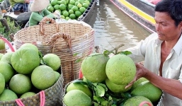 Dự đoán kết quả tỉ số Argentina đấu với Bỉ 23h ngày 5/7