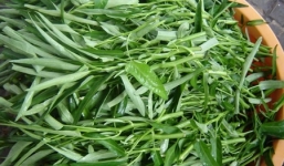 Những nguyên tắc tối kỵ khi ăn rau muống