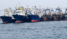 Cận cảnh đội tàu sắp mua của đại gia Sài Gòn