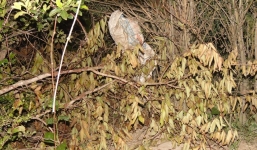 Bé sơ sinh chết vì hủ tục 'được dẫm đạp' của cha