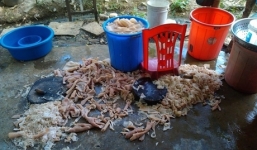 Cơ cở nem chua 'chế biến dưới nền nhà' bị phạt 14 triệu đồng