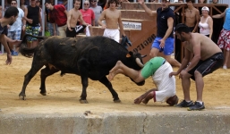 Rùng mình cảnh bò tót rượt đuổi, húc người gây náo loạn đường phố