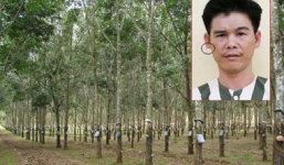 'Bóng ma' táo tợn vào nhà bắt bé gái hiếp dâm