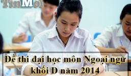 Đề thi Đại học môn Tiếng Anh khối D năm 2014