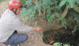 Giận mẹ chồng, nàng dâu ôm con trai 7 tuổi nhảy xuống giếng tự tử?