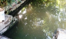 Mẹ ngất lịm chứng kiến xác con gái 2 tuổi dưới ao nước