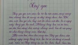 Học sinh tiểu học viết chữ đẹp như in khiến dân mạng xuýt xoa