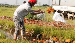 Kinh hoàng 50 bao tải thuốc trẻ em bị kết tủa vứt ngoài cánh đồng