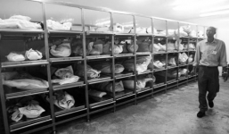 Những người sống chung với xác chết ở Sài Gòn