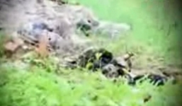 Bí ẩn xác chết cong mình trong vali giữa bãi đất trống