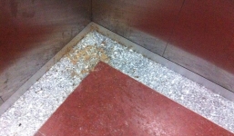 Những hình ảnh xấu xí của một số người Việt ở chung cư