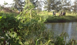 Bỏ dép trên bờ kênh, đôi tình nhân gieo mình tự vẫn