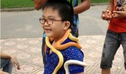 Người Việt đánh đu mạng sống để chơi rắn độc