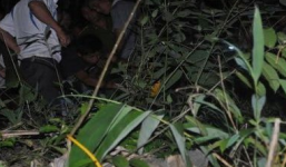 Bắt cóc phụ nữ trẻ vào rừng để hiếp dâm dã man rồi đánh đập đến chết