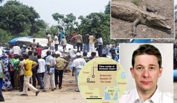 Kinh hoàng: Cá sấu cắn người trên máy bay, 19 người thiệt mạng