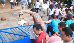 Những hình ảnh xin học đầu cấp 'ám ảnh' dư luận