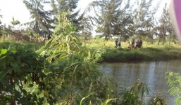 Bản tin 113 – sáng 14/7: Đôi nam nữ chết dưới kênh, để lại dép và xe đạp…