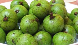 Những công dụng chữa bệnh 'thần kỳ' từ quả sấu