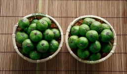 Những công dụng chữa bệnh 'thần kỳ' từ quả sấu