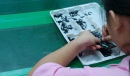 Samsung đình chỉ kinh doanh với đối tác Trung Quốc