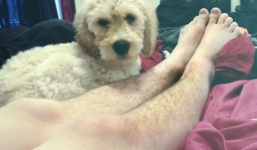 Trào lưu khoe ảnh chụp lông chân kì quái của các cô gái