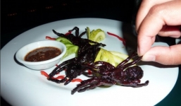 Mất mạng vì những mồi nhậu kinh dị