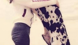 Nữ sinh Sư phạm bỏ gần trăm triệu “săn” chó cảnh