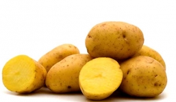 Bảo quản khoai tây trong tủ lạnh là thói quen cực nguy hiểm