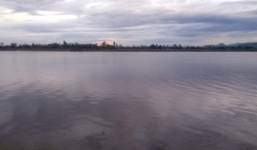 Cá lạ khổng lồ xuất hiện trên sông Quảng Bình