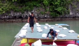 Quảng Ninh: Đưa dân lên hang động tránh bão Thần Sấm 