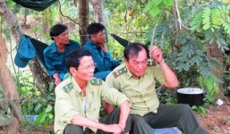 Rộ tin đồn đào được 16kg vàng trong rừng