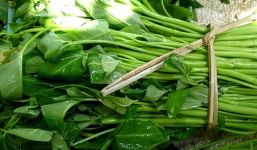 Ai không nên ăn rau muống?