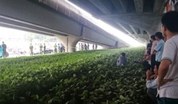 Phát hiện thi thể võ sư môn phái Bình Định Gia dưới cống nước