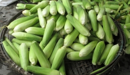 Sự thật về tin đồn ngô ủ hóa chất, không luộc vẫn tự chín