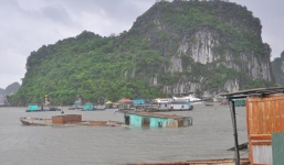 Nhiều tàu chìm, 34 nhà bị tốc mái vì bão Thần Sấm