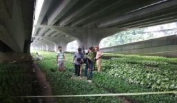 Bản tin 113 – sáng 21/7: Thi thể võ sư 88 tuổi dưới cống thoát nước…