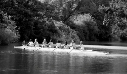 Bộ ảnh 17 nữ sinh nude 100\% chèo thuyền khiến nhiều người bất ngờ