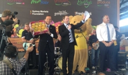 Sốc khay xoài 12 quả giá hơn 1 tỷ đồng