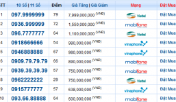 Đại gia nào đã chi tiền mua sim 8 tỷ?