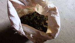 'Bùa yêu' trói chồng hóa ra là gừng khô... pha lẫn cỏ