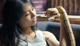 Cô gái xinh đẹp thích kết bạn với rắn, rết, bọ cạp