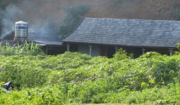 Bản tin 113 – chiều 24/7: Con gái 14 tuổi cầm dao bầu chém chết mẹ…